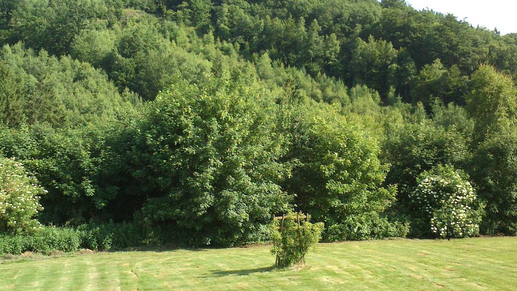 La Cle Des Champs Villa Bertogne Eksteriør bilde