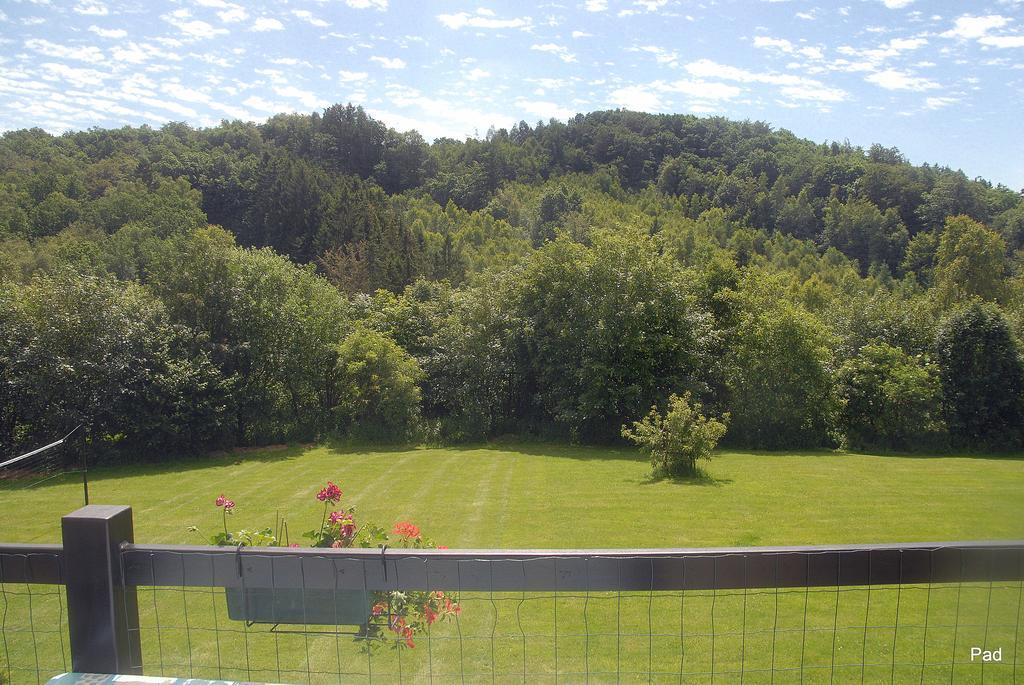 La Cle Des Champs Villa Bertogne Eksteriør bilde